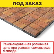Плитка тротуарная BRAER, "Прямоугольник",&nbsp;&nbsp;200*100*60мм, Color mix Прайд (12,96 кв.м) 648шт.